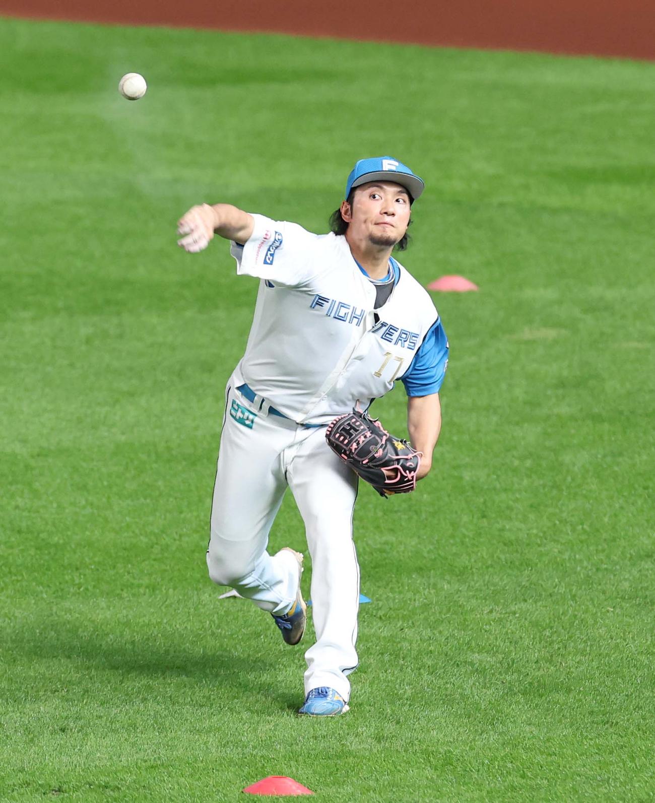 キャッチボールする日本ハム伊藤（撮影・黒川智章）