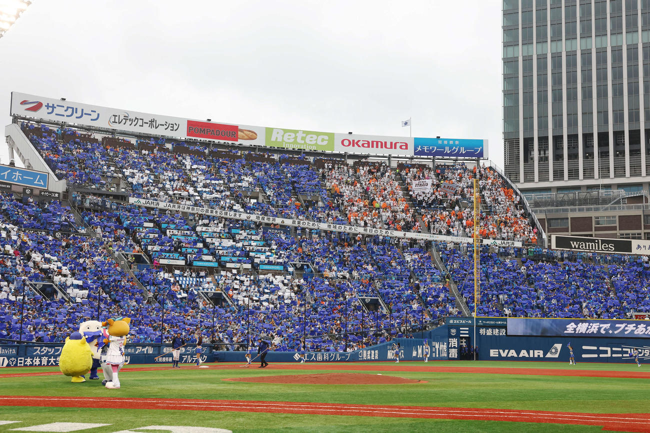 DeNA対巨人　左翼ポール上部のウイング席で応援する巨人ファン（撮影・宮地輝）