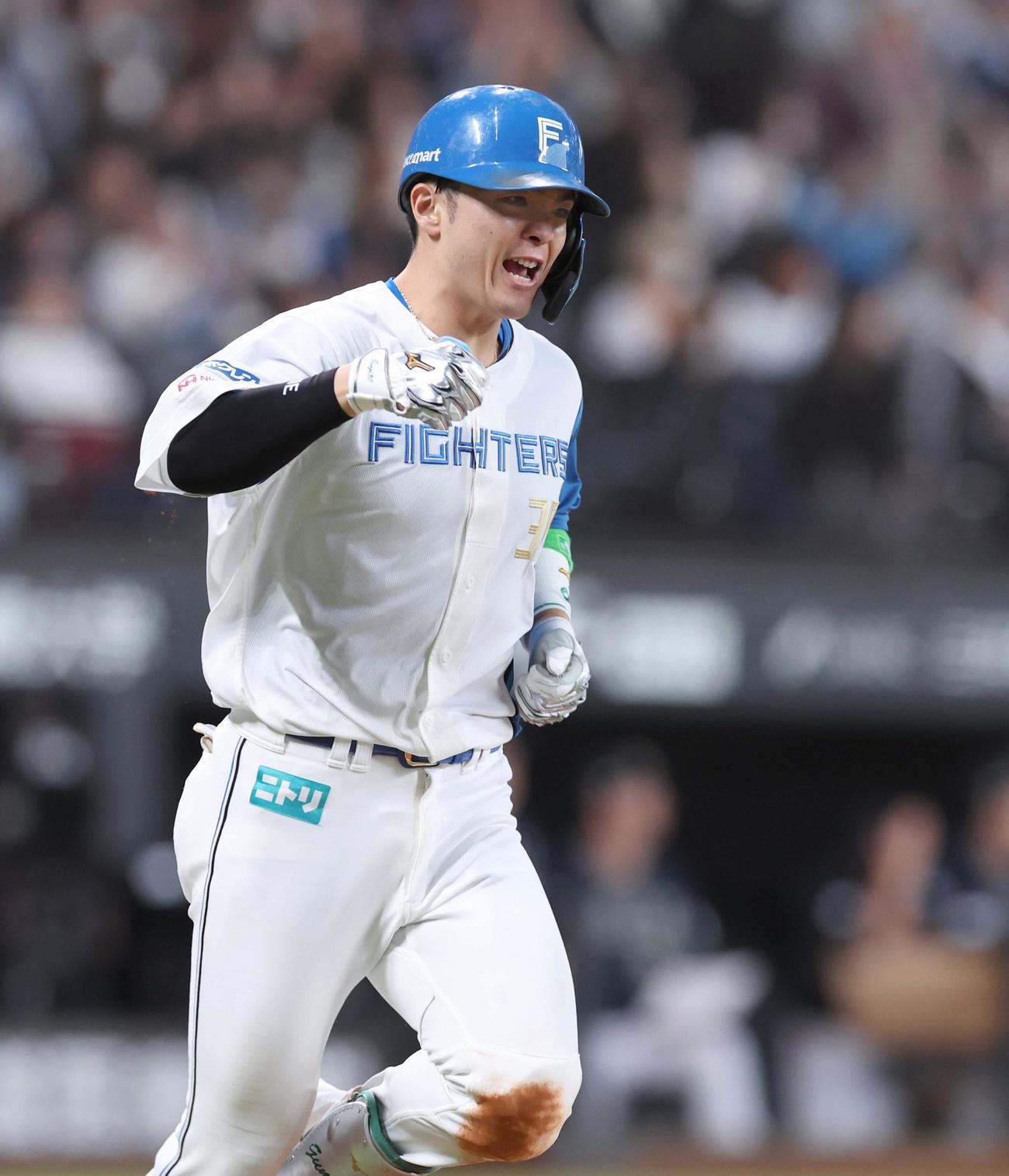 日本ハム対オリックス　4回裏日本ハム2死、左越え本塁打を放ちガッツポーズの郡司（撮影・黒川智章）