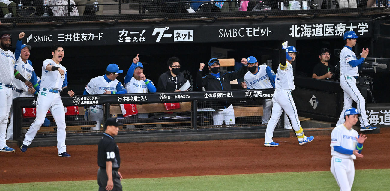 日本ハム対オリックス　2回裏日本ハム1死三塁、万波の先制適時打に盛り上がるベンチ（撮影・滝沢徹郎）