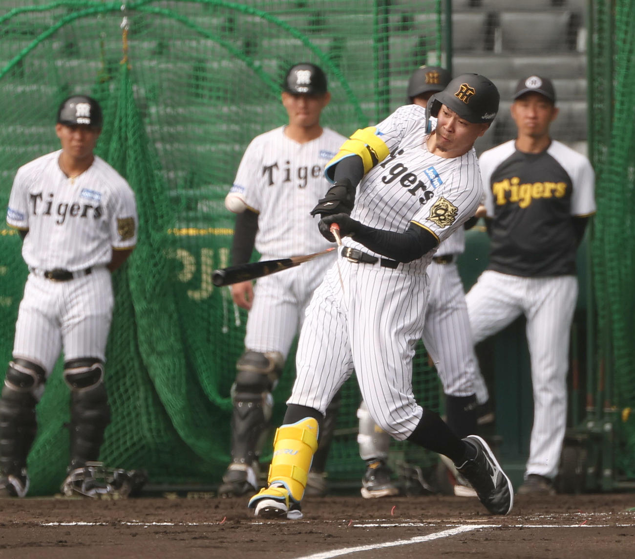 シート打撃でバットを折りながらも中前打を放つ佐藤輝（撮影・上田博志）