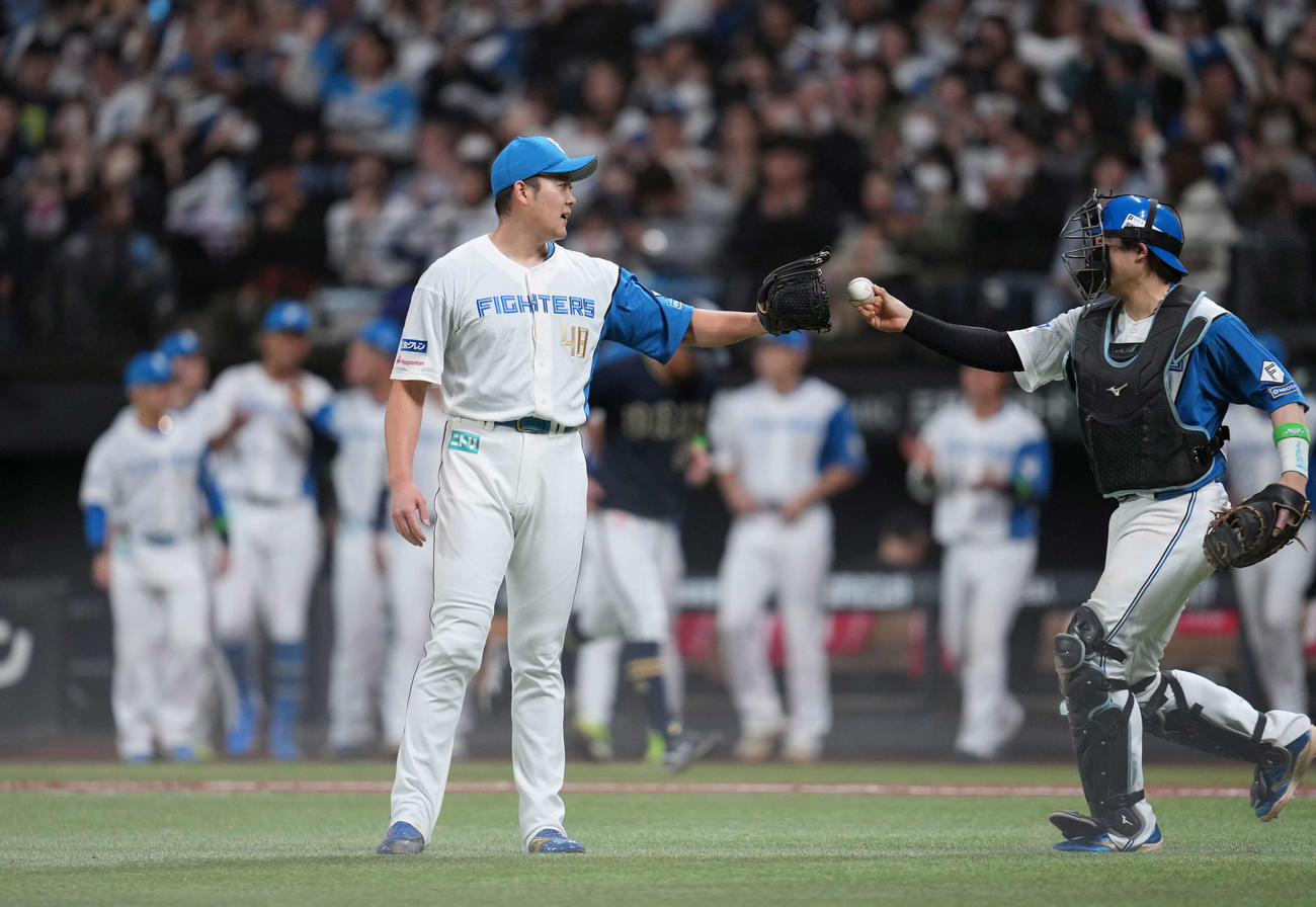 日本ハム対オリックス　オリックスを下しタッチをかわす斎藤（左）田宮（撮影・井上学）
