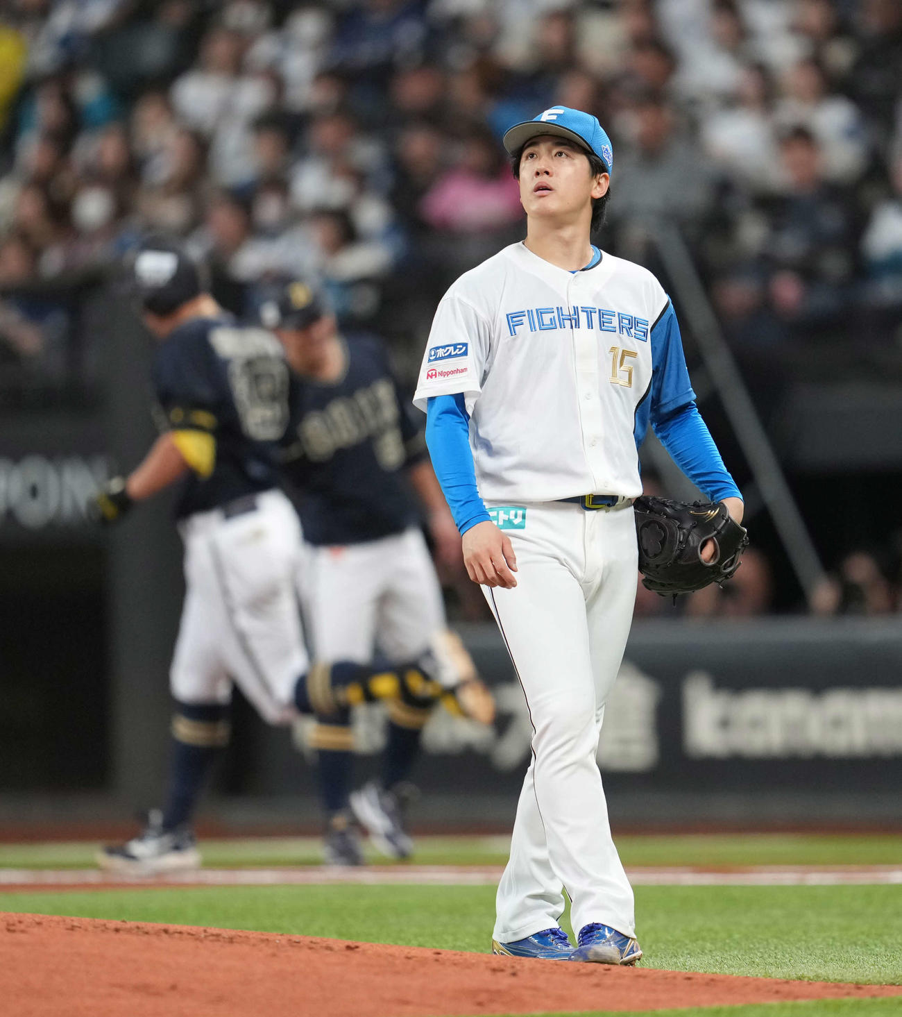 日本ハム対オリックス　2回表オリックス無死、杉本に本塁打を浴びる北山（撮影・井上学）