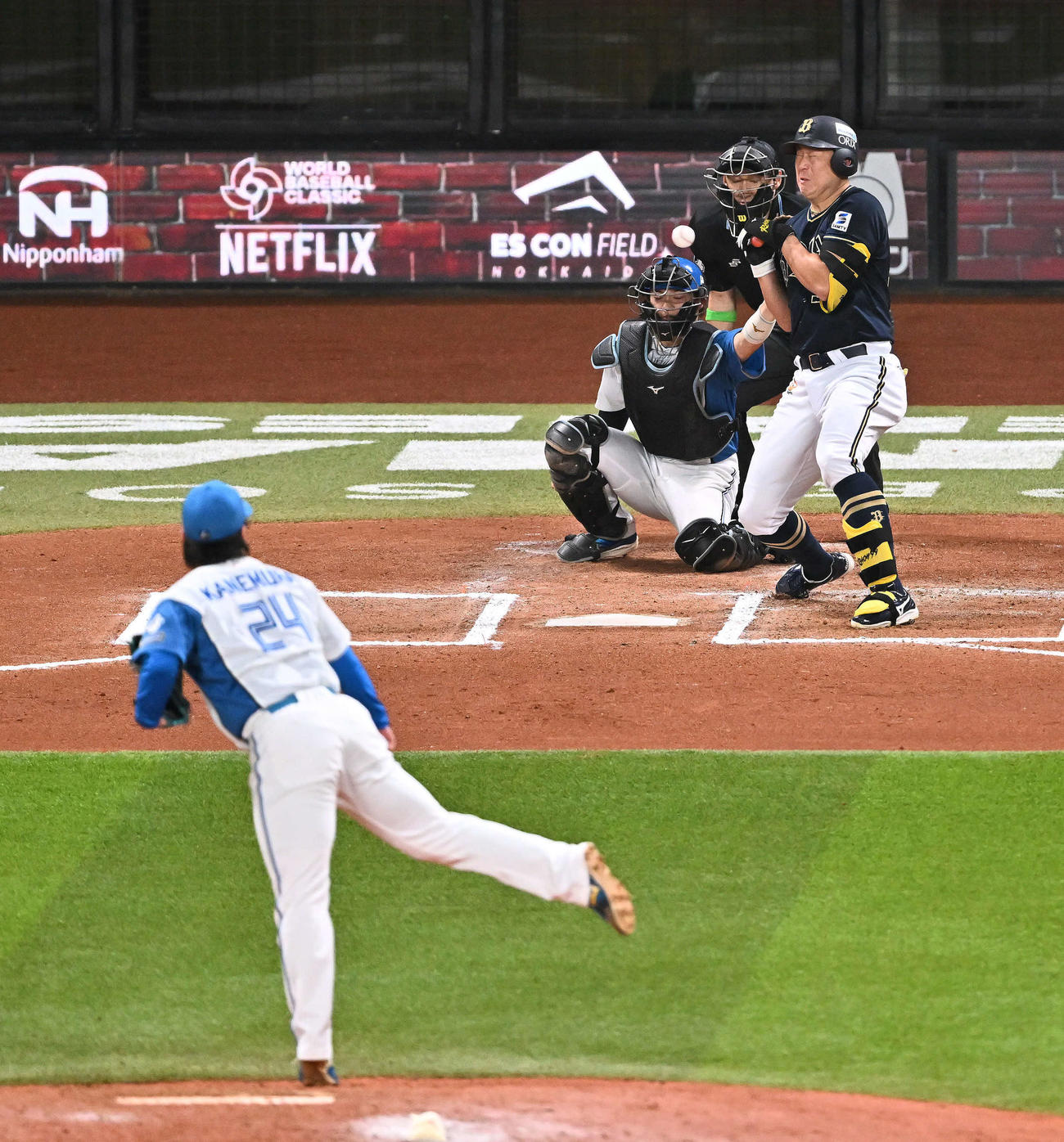 日本ハム対オリックス　6回表オリックス無死一塁、死球を受ける杉本。投手金村（撮影・滝沢徹郎）