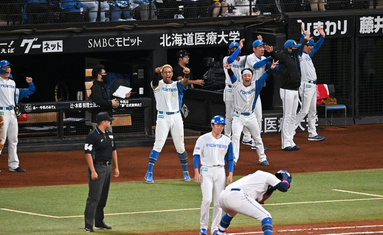 日本ハム対オリックス　8回裏日本ハム2死一、二塁、レイエスの2点適時打で盛り上がる選手たち（撮影・滝沢徹郎）