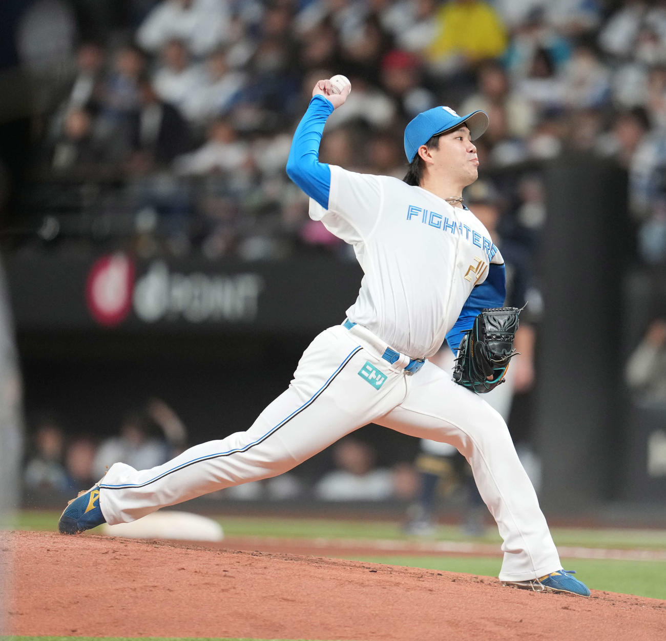 日本ハム対オリックス　力投する日本ハム金村（撮影・井上学）