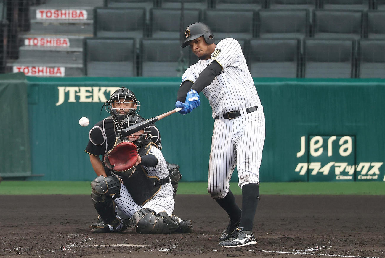 シート打撃で安打を放つ阪神ヘルナンデス（撮影・前田充）