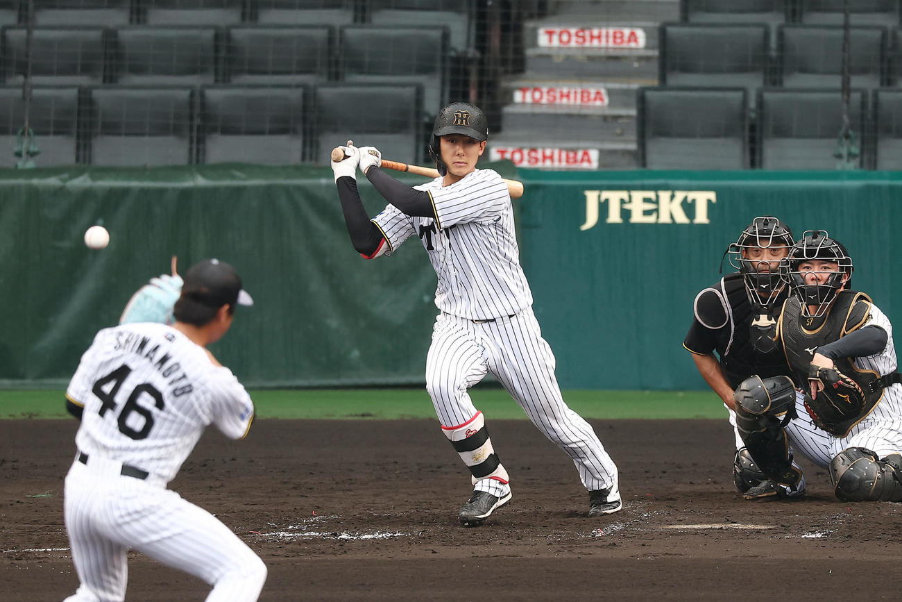 シート打撃で適時打を放つ阪神小幡。投手島本（撮影・前田充）