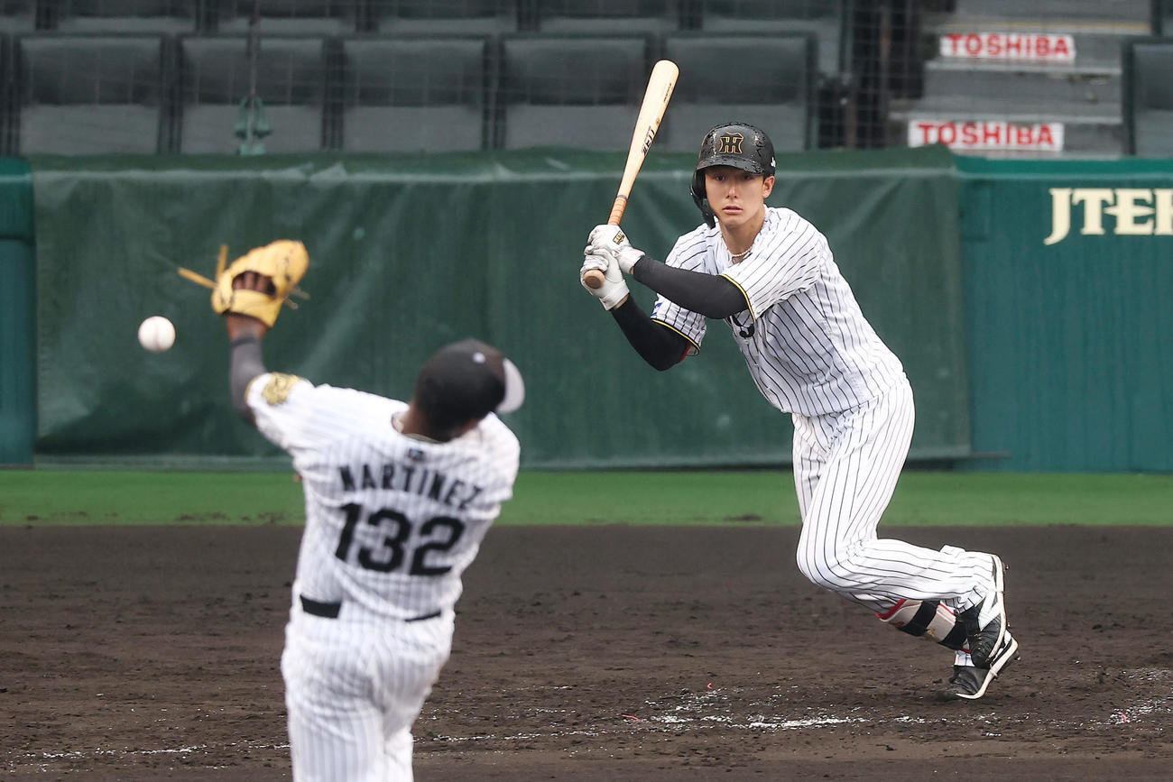 シート打撃で安打を放つ阪神小幡。投手マルティネス（撮影・前田充）