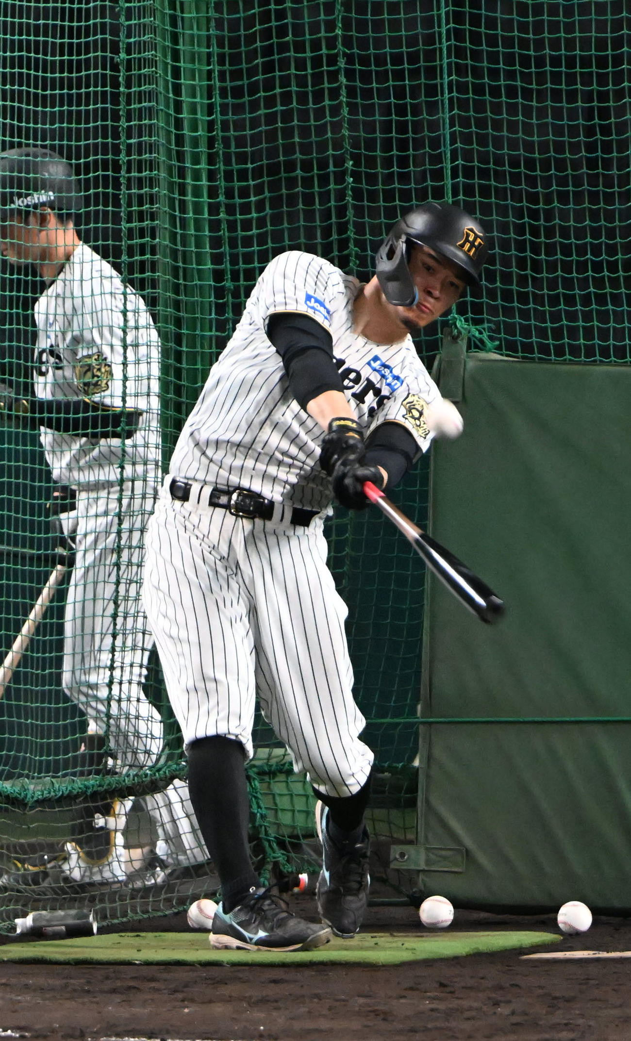 フリー打撃を行う阪神佐藤輝（撮影・和賀正仁）