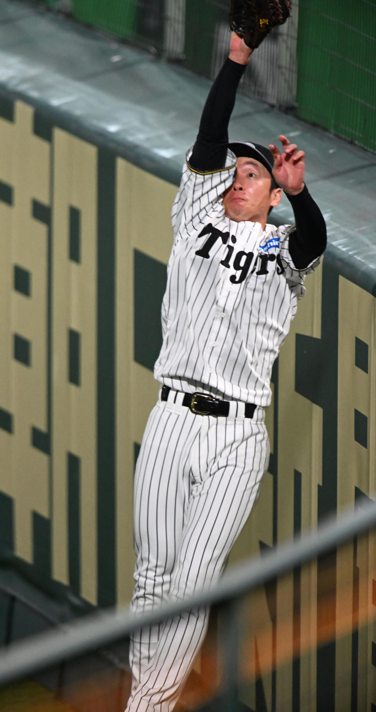 フェンス際の打球処理の練習行う阪神近本（撮影・和賀正仁）