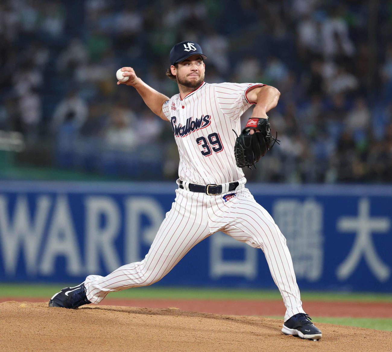 ヤクルト・ランバート（2025月9月撮影）