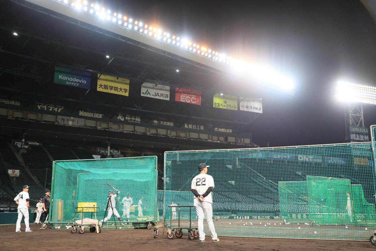CSファイナルに向けてナイター練習を行った阪神ナイン。手前は藤川監督、打席は大山（撮影・宮崎幸一）