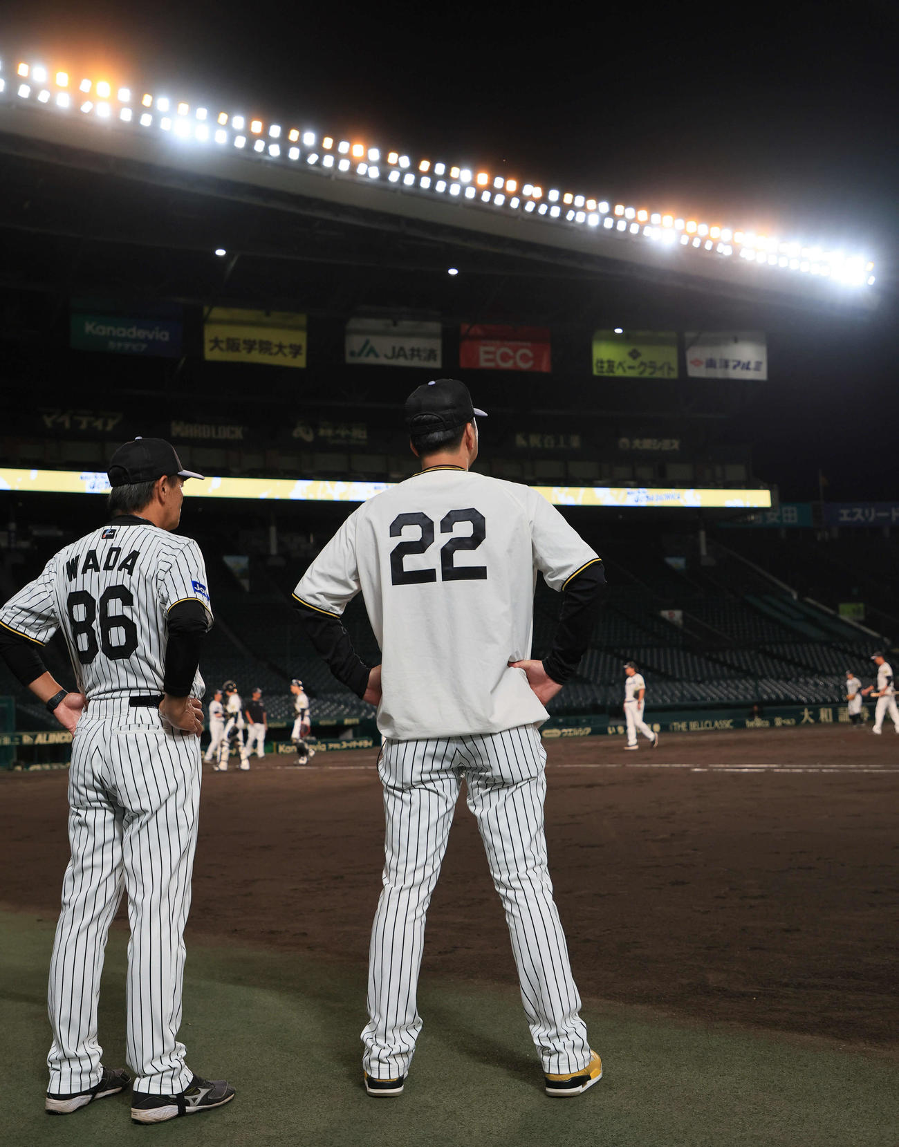 CSファイナルに向けたナイター練習を行った阪神藤川監督（撮影・宮崎幸一）
