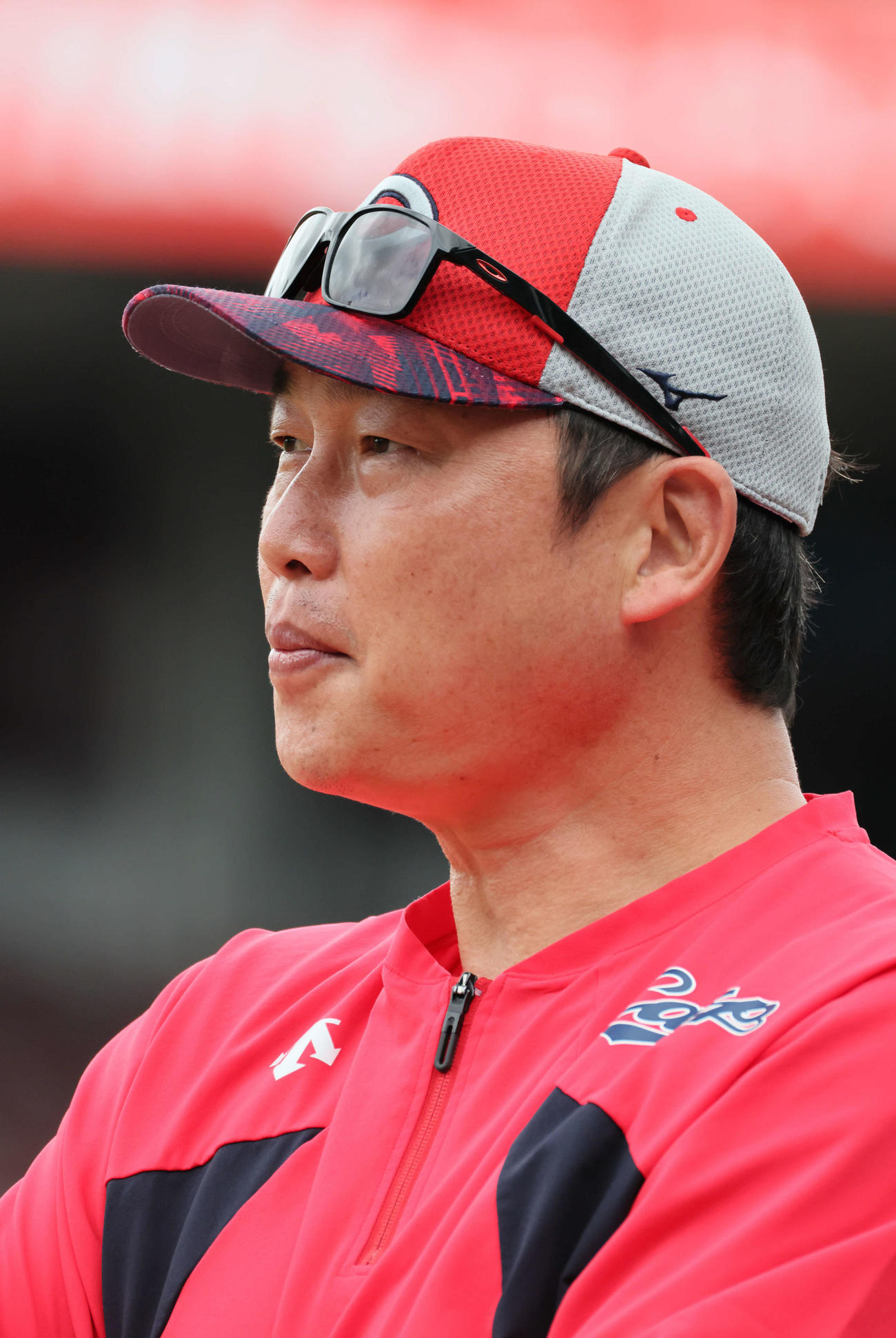 練習を見守る新井監督（撮影・加藤孝規）