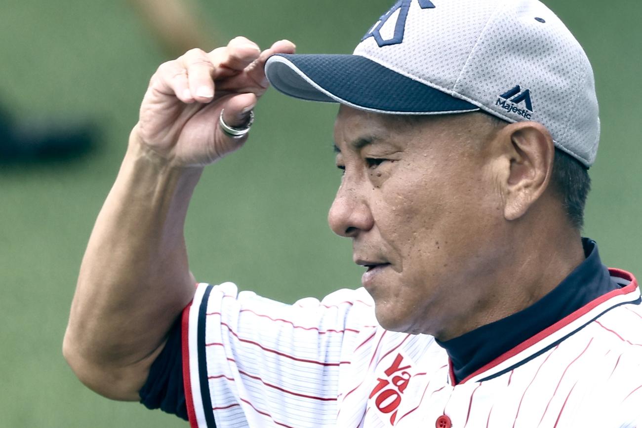 練習を見守るヤクルト池山監督（撮影・河田真司）