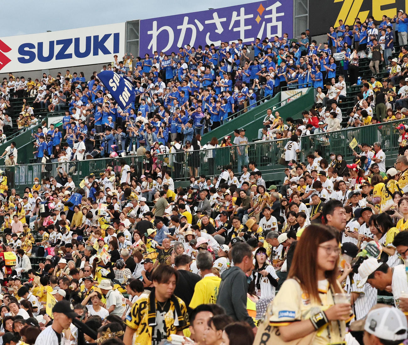 阪神対DeNA　試合前から声援を送るDeNAファン（撮影・加藤哉）