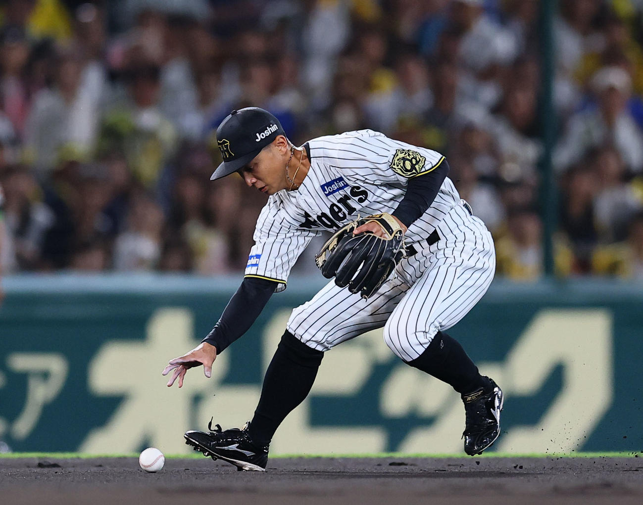 阪神対DeNA 1回表DeNA2死一、二塁、牧の遊ゴロをファンブルする熊谷（撮影・藤尾明華）