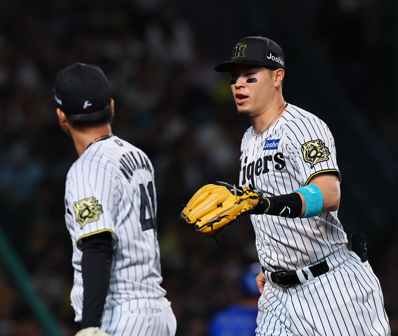 阪神対DeNA 1回表DeNA2死満塁、山本を三ゴロに打ち取り、村上とタッチを交わす佐藤輝（撮影・藤尾明華）