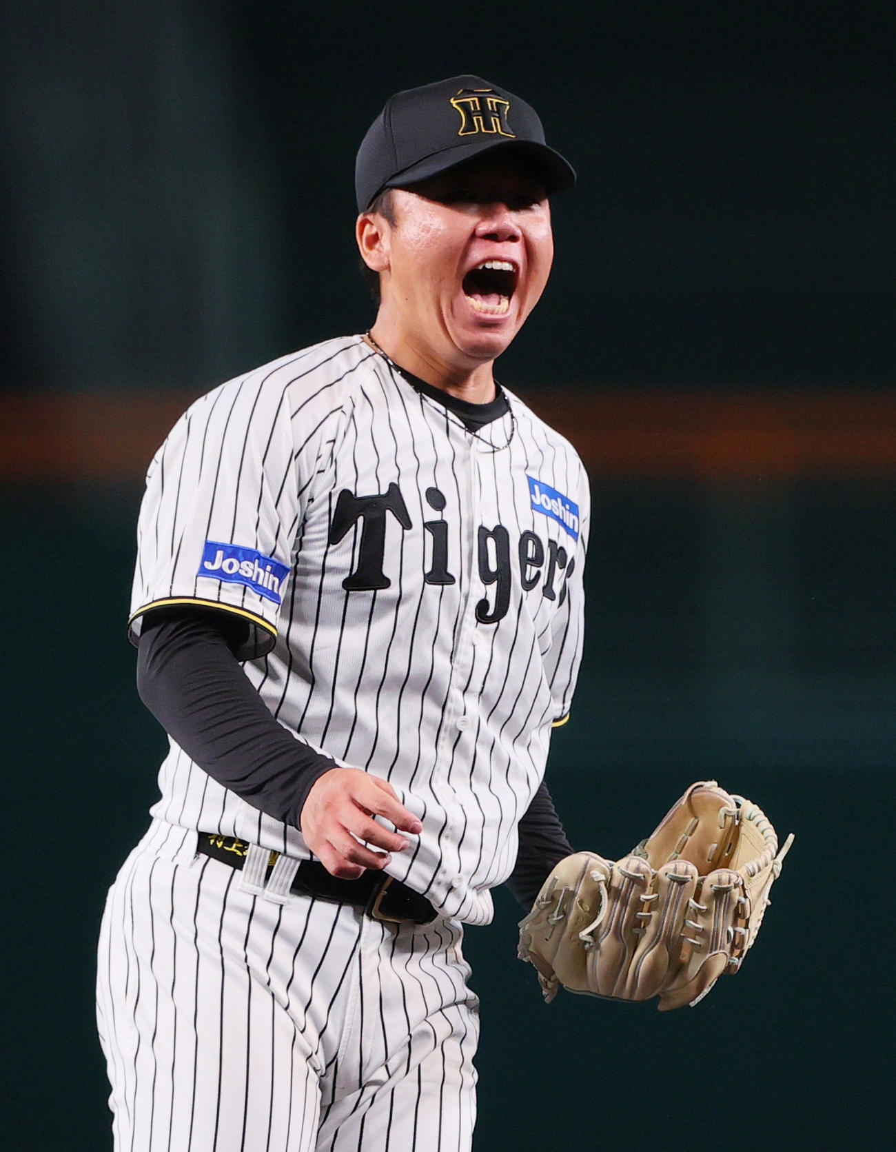 阪神対DeNA 3回表DeNA2死一、二塁、村上は山本を空振り三振に仕留め雄たけびをあげる（撮影・上山淳一）