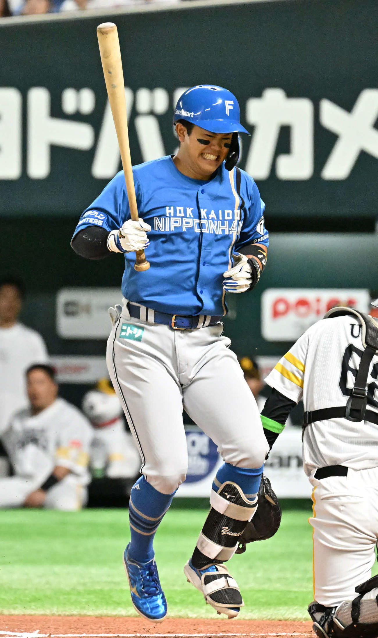 ソフトバンク対日本ハム　1回表2死一、二塁、今川は死球を受ける（撮影・林敢治）