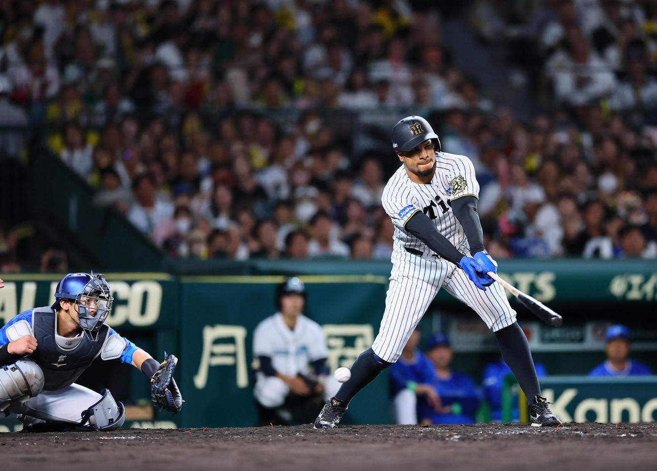 阪神対DeNA 5回裏阪神2死三塁、代打ヘルナンデスは空振り三振に倒れる（撮影・藤尾明華）