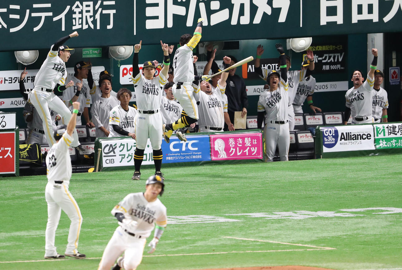ソフトバンク対日本ハム　7回裏ソフトバンク無死、野村の左中間先制本塁打で盛り上がるナイン（撮影・梅根麻紀）