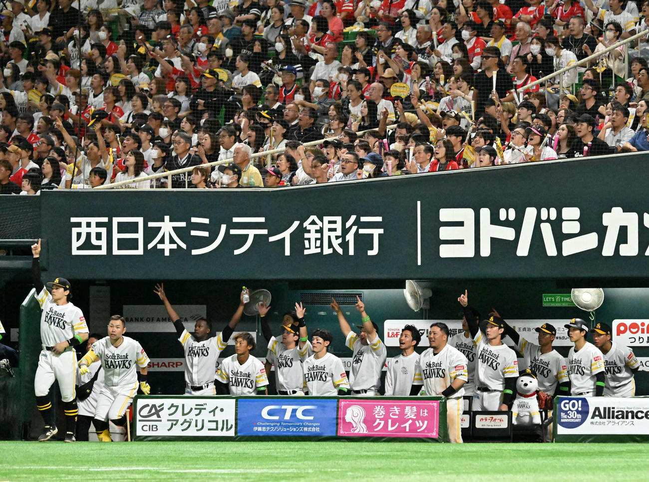 ソフトバンク対日本ハム　7回裏ソフトバンク無死、野村の先制本塁打に歓喜するホークスナイン（撮影・林敢治）
