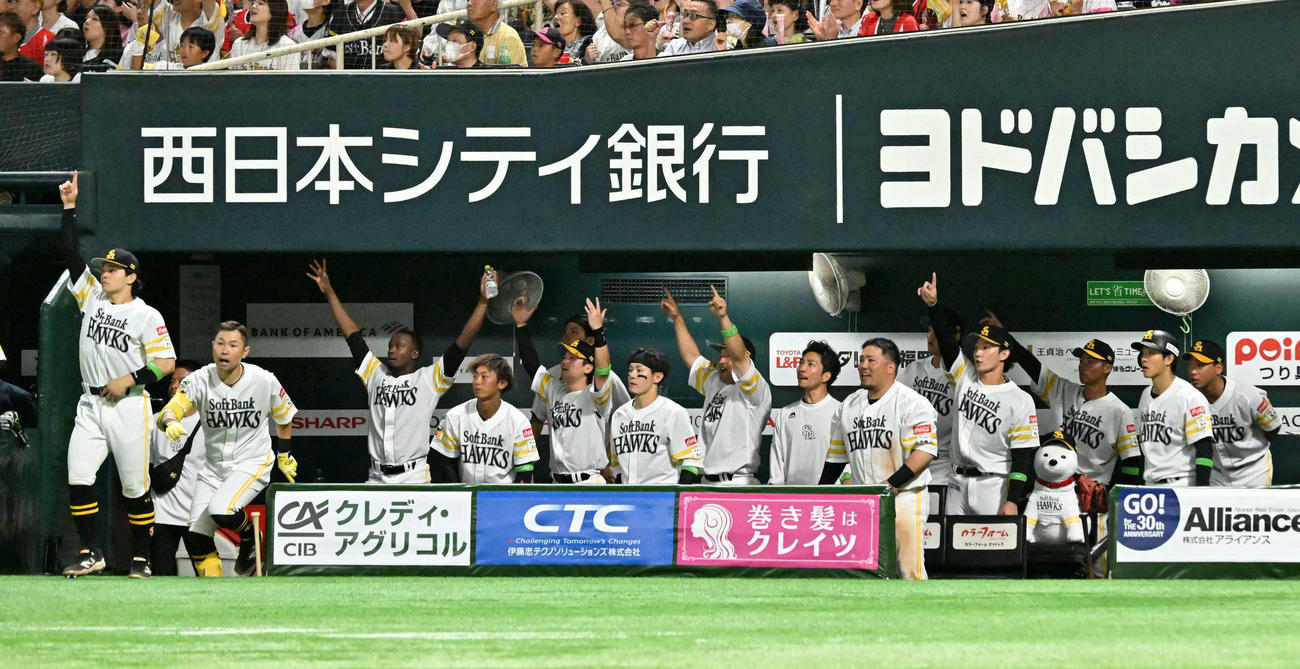 ソフトバンク対日本ハム　7回裏ソフトバンク無死、野村の先制本塁打に歓喜するホークスナイン（撮影・林敢治）