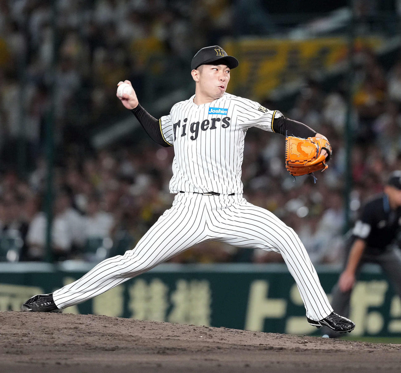 阪神対DeNA 7回途中からマウンドに上がった阪神石井（撮影・たえ見朱実）