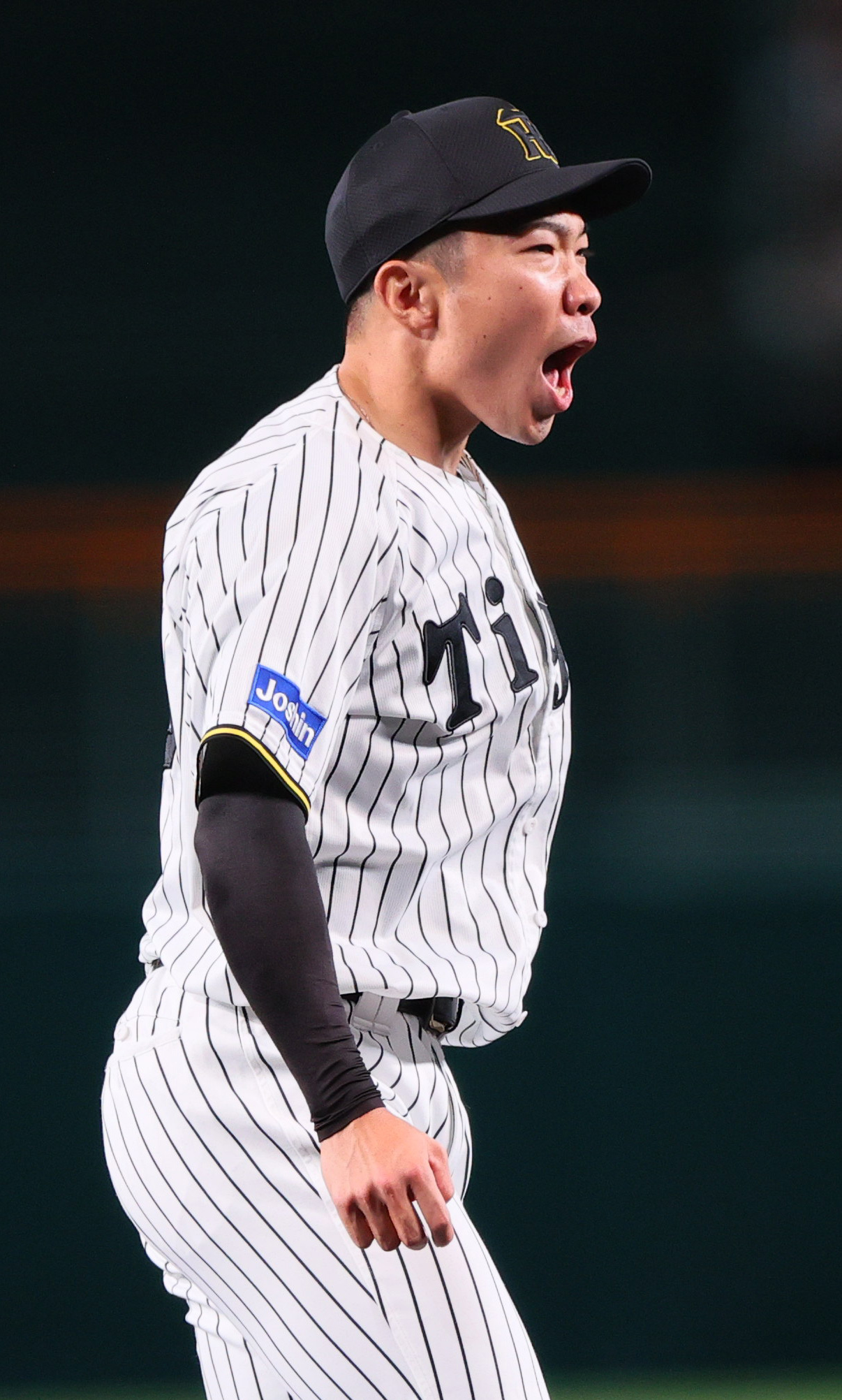 阪神対DeNA 7回表DeNA2死一、三塁、石井は代打フォードを空振り三振を奪い雄たけびを上げる（撮影・上山淳一）