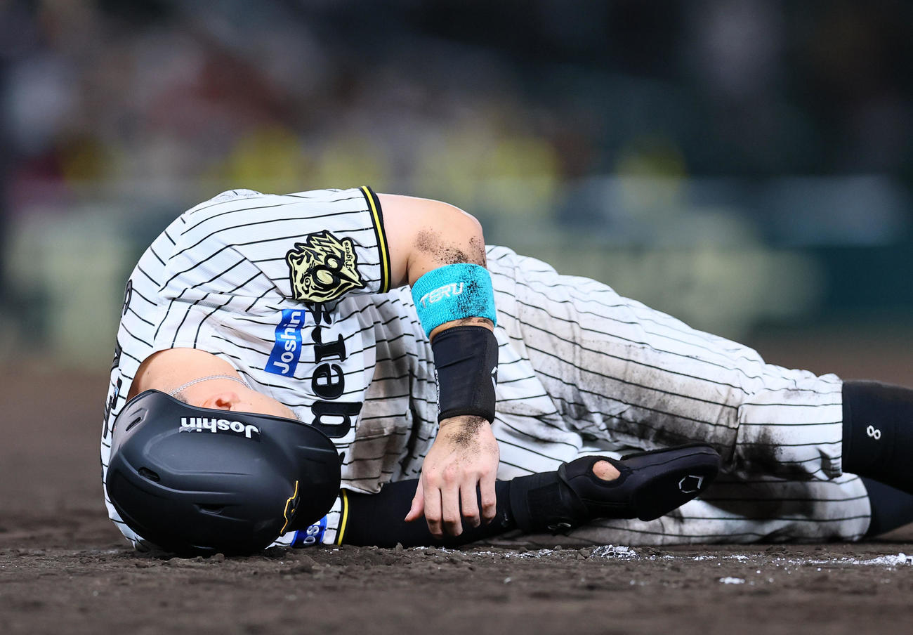 阪神対DeNA 8回裏阪神無死一塁、けん制球が体に当たり、痛がる佐藤輝（撮影・藤尾明華）