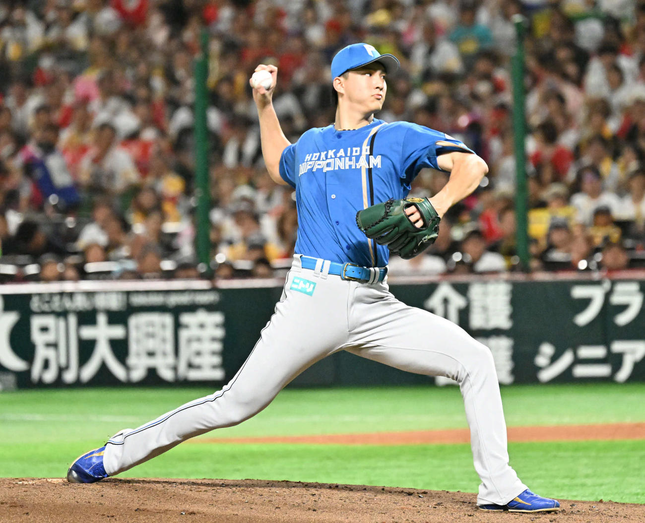 ソフトバンク対日本ハム　日本ハム先発の達（撮影・林敢治）