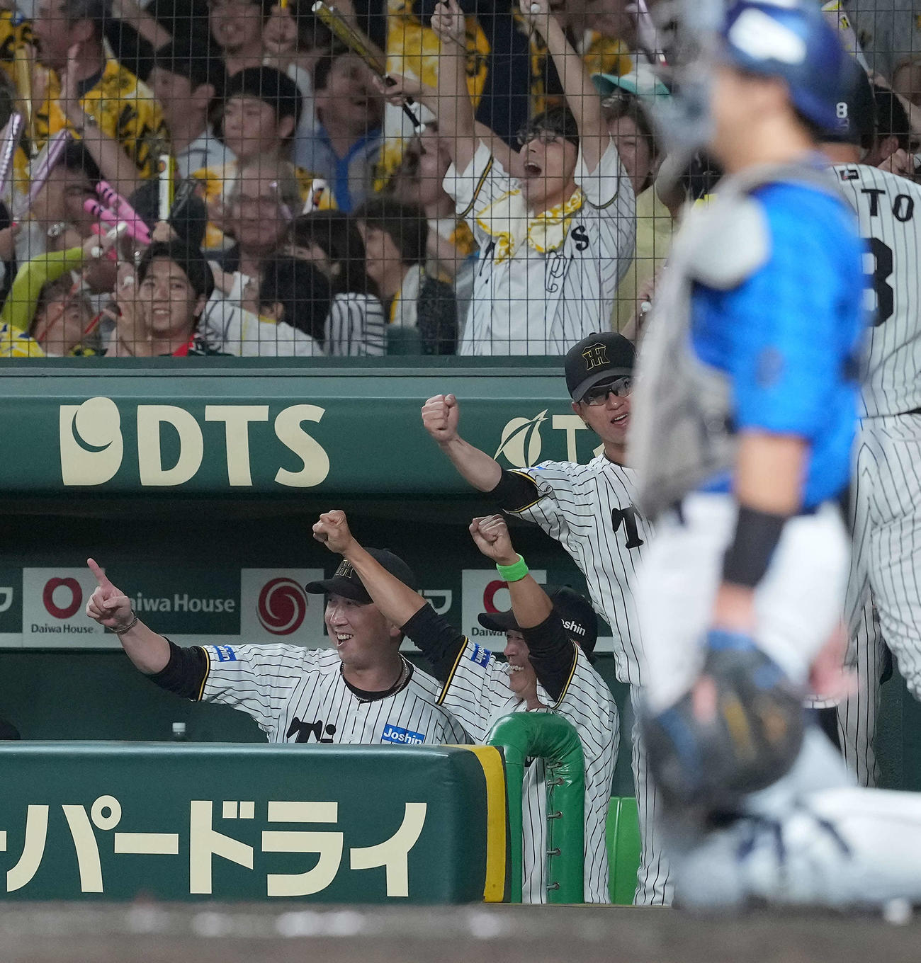 阪神対DeNA 6回裏阪神2死一、三塁、小野寺の適時打に喜ぶ藤川監督（撮影・たえ見朱実）
