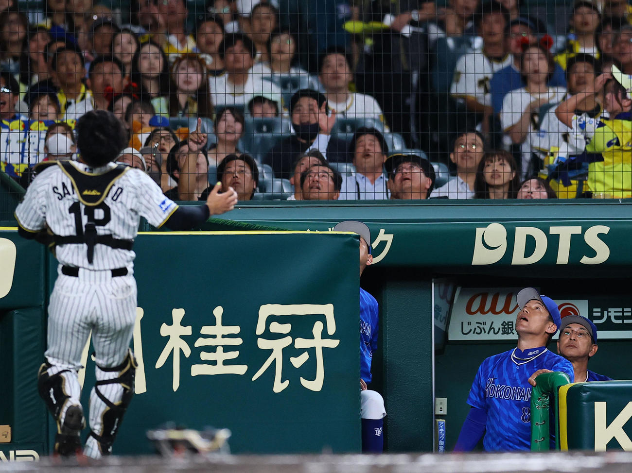 阪神対DeNA 1回表DeNA1死一塁、佐野の捕邪飛の打球を見上げるDeNA三浦監督（右から2人目）（撮影・藤尾明華）