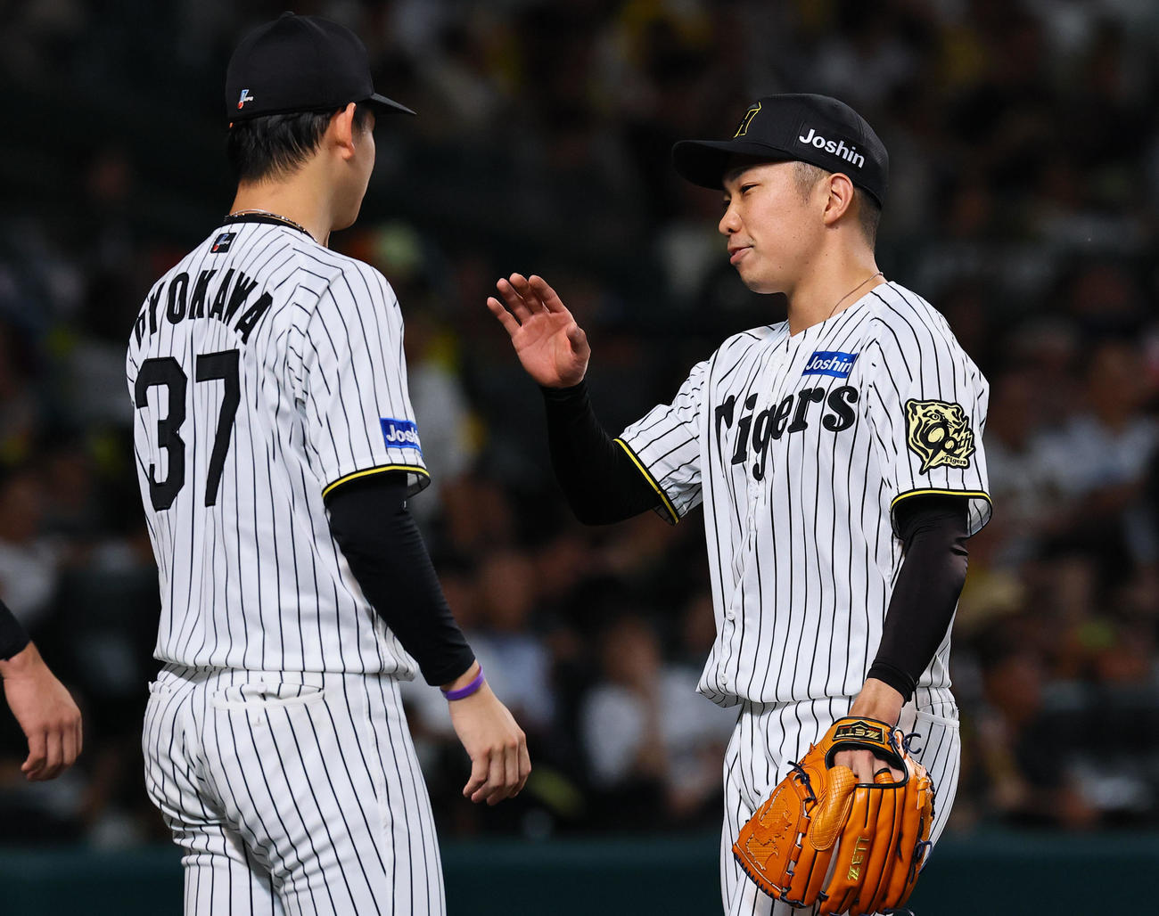 阪神対DeNA 7回を終え、及川とタッチを交わす阪神石井（撮影・藤尾明華）