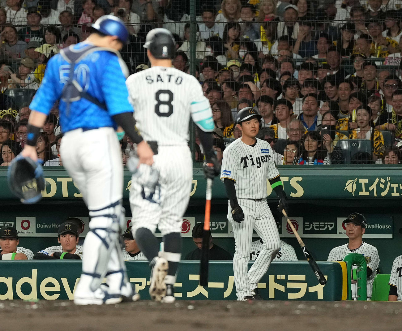 阪神対DeNA 4回裏阪神1死一塁、見逃し三振に倒れた佐藤輝を見る藤川監督（右）（撮影・たえ見朱実）