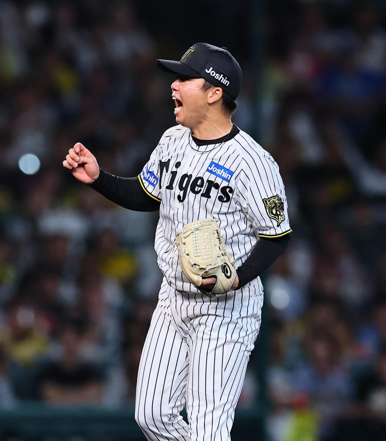 阪神対DeNA 3回表DeNA2死一、二塁、山本を三振に仕留め、ほえる村上（撮影・藤尾明華）