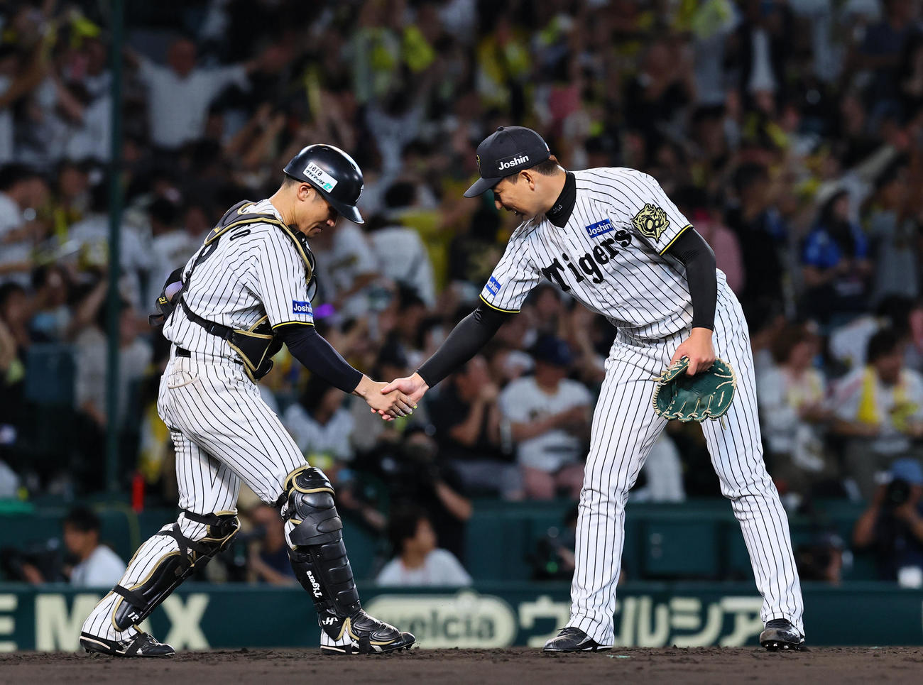 阪神対DeNA DeNAに勝利し、坂本（左）と握手を交わすは阪神岩崎（撮影・藤尾明華）