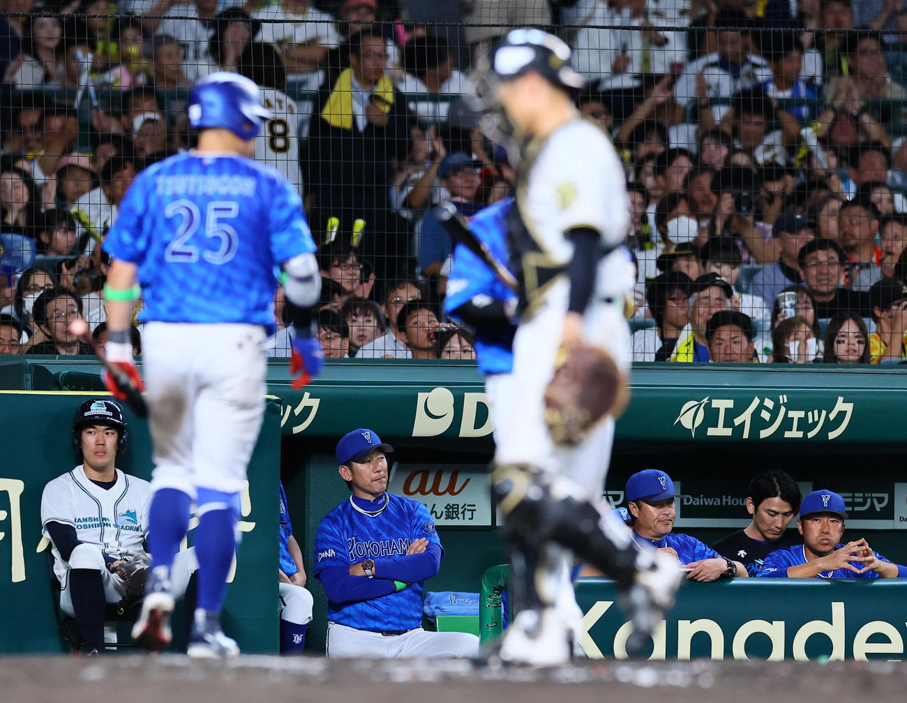 阪神対DeNA 7回表DeNA1死一塁、三振に倒れた筒香をベンチから見つめる三浦監督（中央）（撮影・藤尾明華）