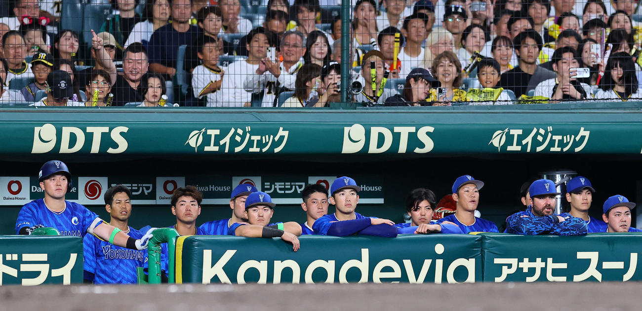 阪神対DeNA 9回の攻撃をベンチから見つめる東（右から5人目）らDeNAナイン（撮影・藤尾明華）