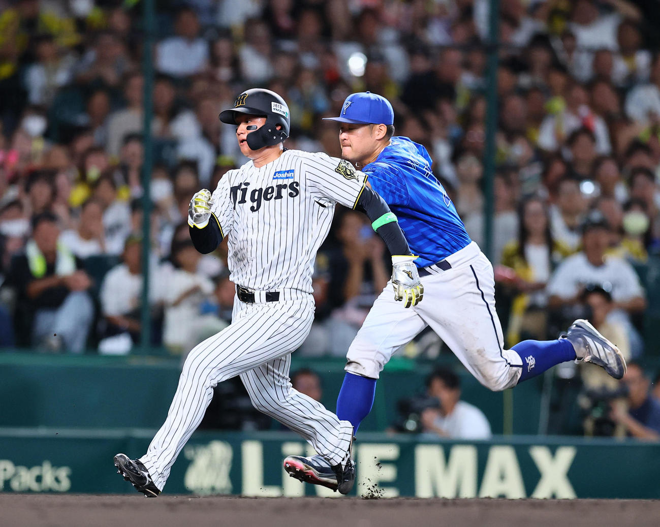 阪神対DeNA 6回裏阪神1死一、三塁、大山の三ゴロで三走森下が挟まれアウトになる。野手筒香（撮影・藤尾明華）