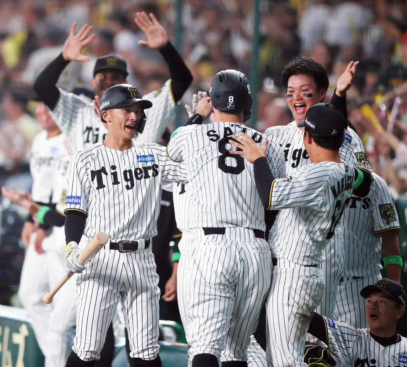 阪神対DeNA 6回裏阪神2死一、三塁、小野寺の右前適時打で生還した佐藤輝（左から2人目）を出迎える阪神ナイン（撮影・上山淳一）