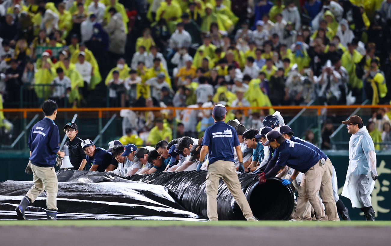 阪神対DeNA 5回、降雨中断で張られたシートを巻き取る阪神園芸のスタッフら（撮影・藤尾明華）