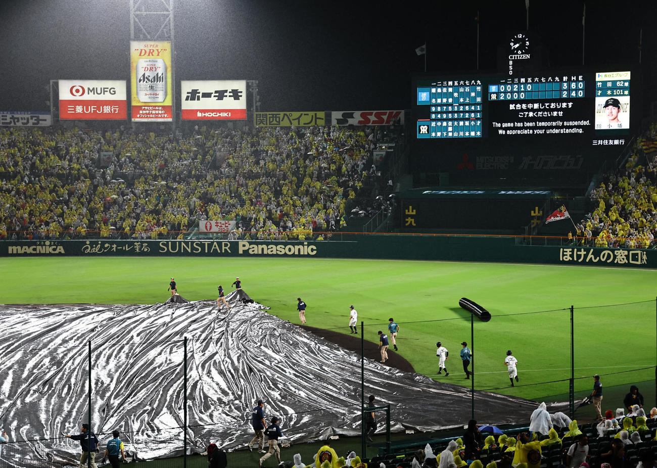 阪神対DeNA　突然の雨で内野にシートが掛けられ中断となる（撮影・上田博志）