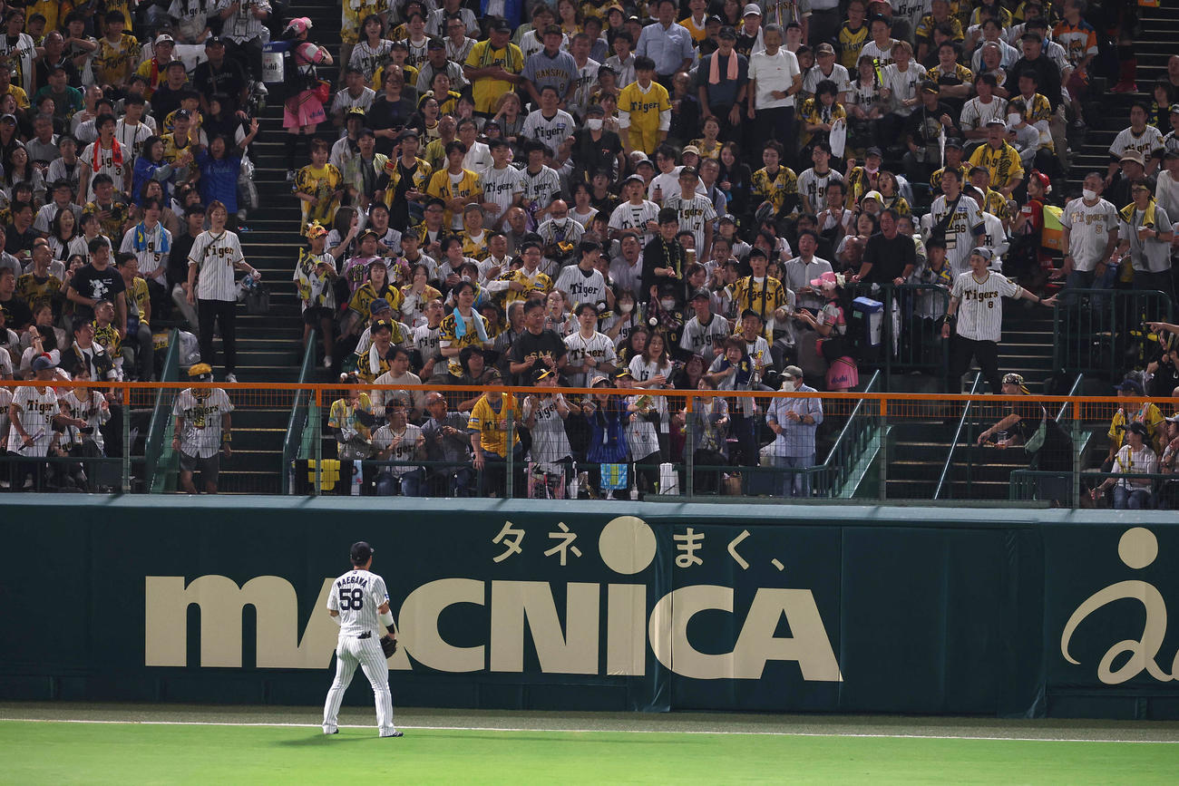 阪神対DeNA 4回表DeNA無死、勝ち越し本塁打を放った牧の着弾点（撮影・上田博志）