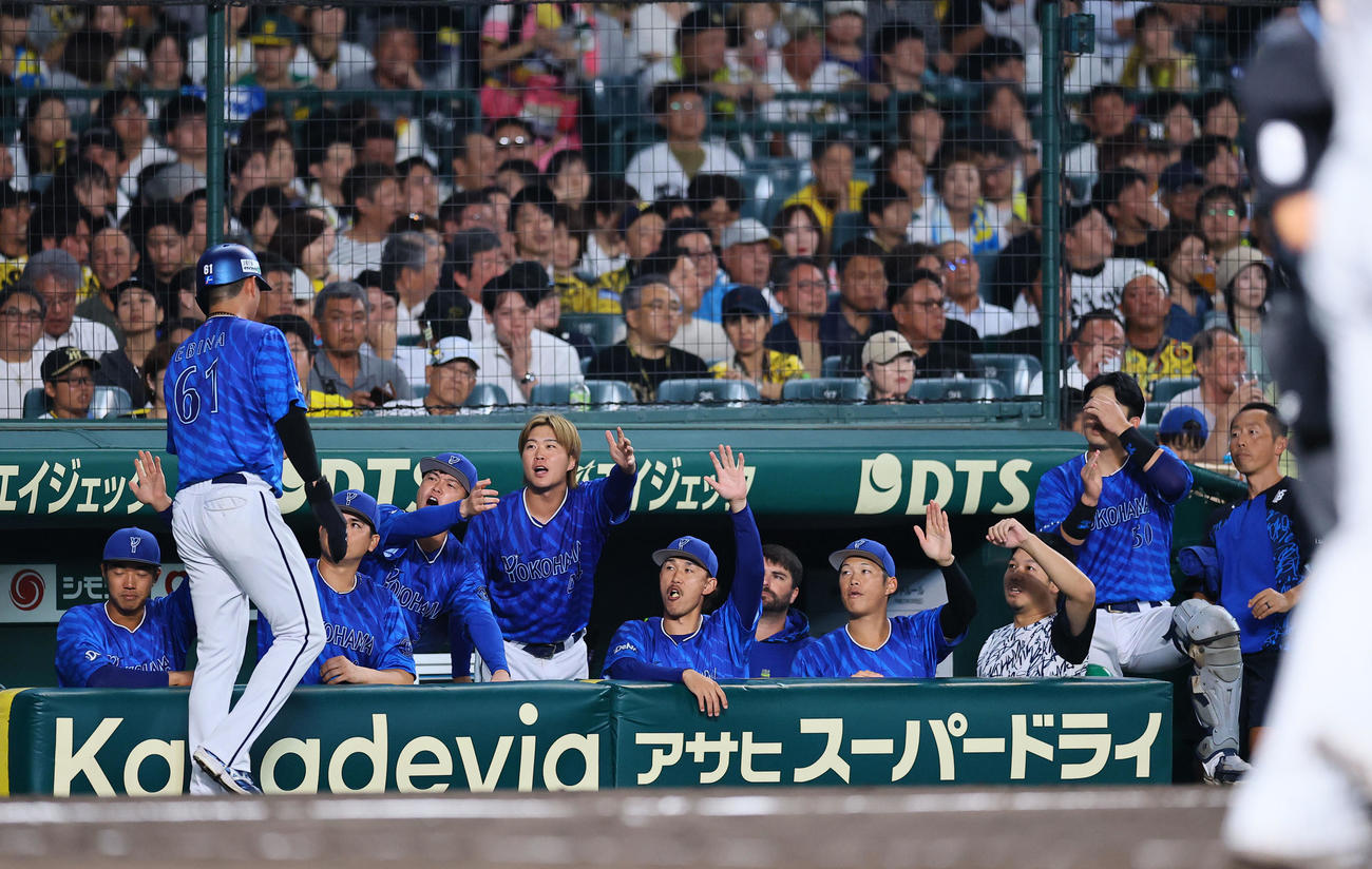 阪神対DeNA 3回表DeNA2死二塁、佐野の適時二塁打で生還した蝦名を出迎えるDeNAナイン（撮影・藤尾明華）