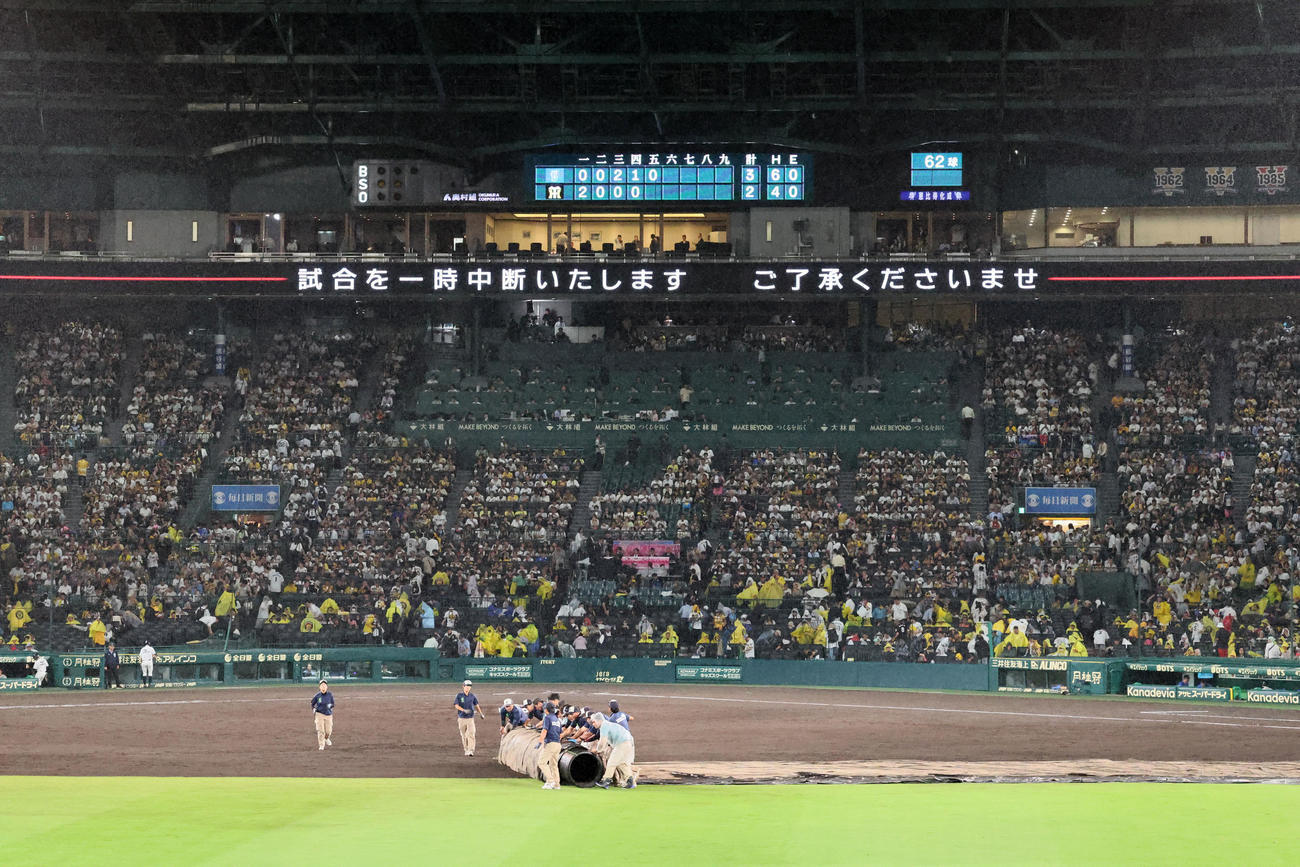 阪神対DeNA 5回裏阪神無死、降雨中断となる甲子園球場（撮影・加藤哉）