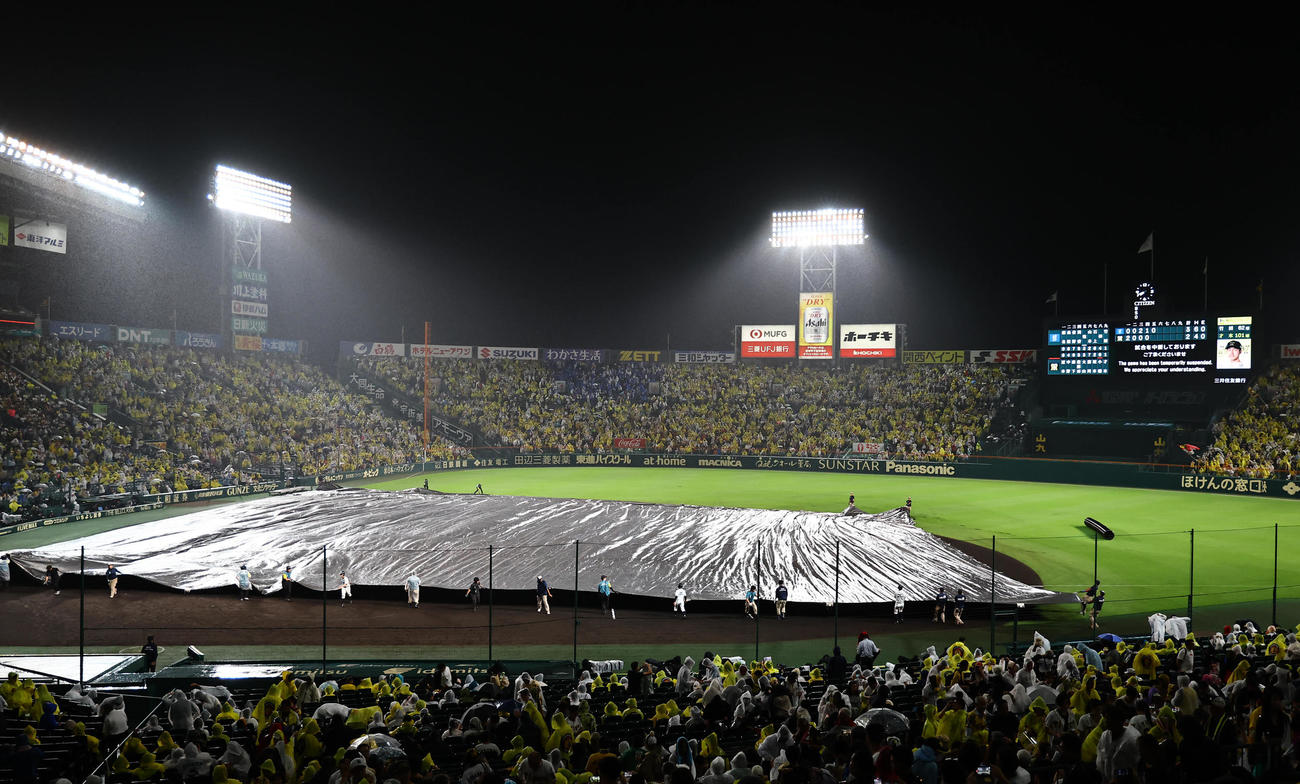 阪神対DeNA　突然の雨で内野にシートが掛けられ中断となる（撮影・上田博志）