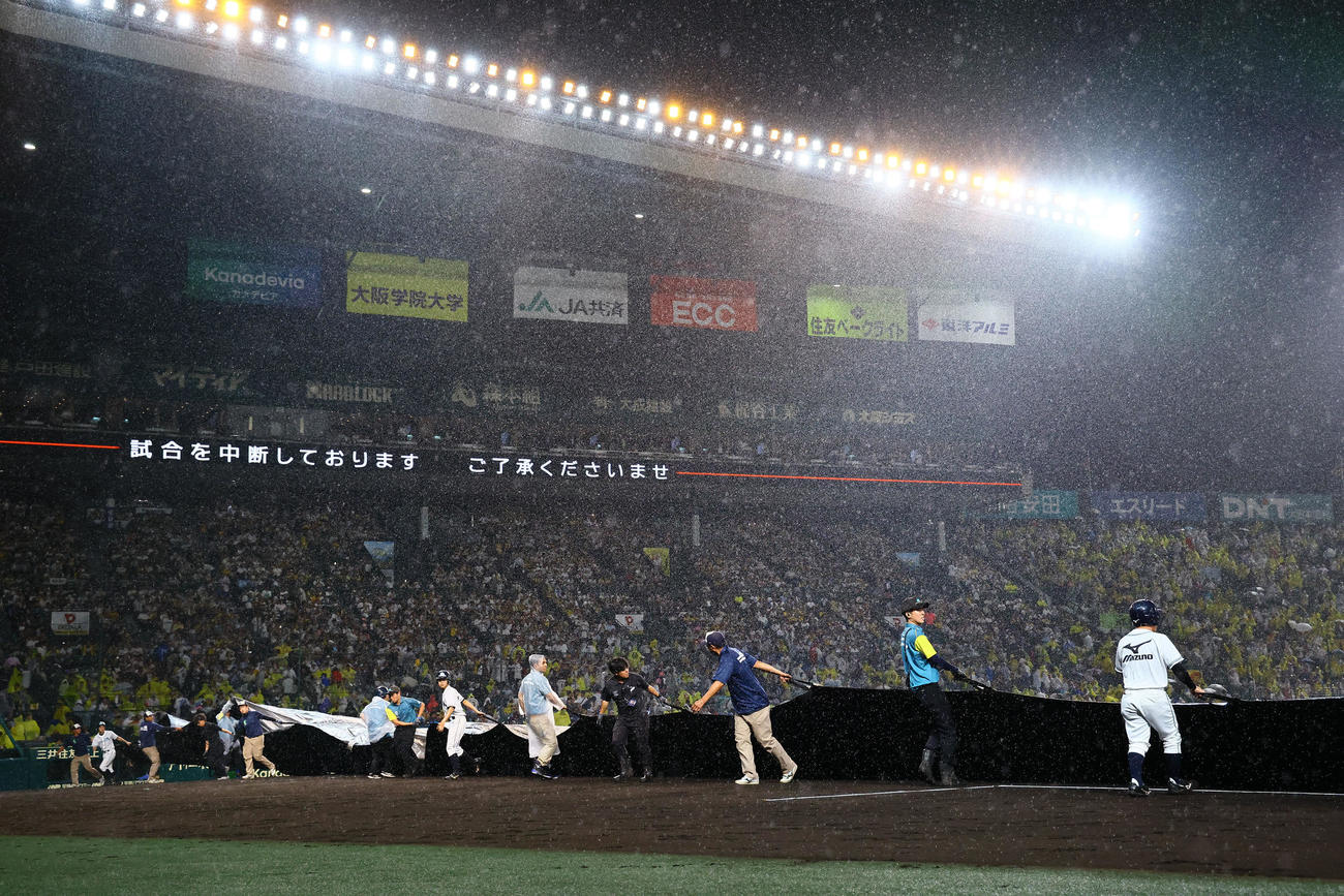 阪神対DeNA　降雨中断となり、シートを張る阪神園芸のスタッフら（撮影・藤尾明華）